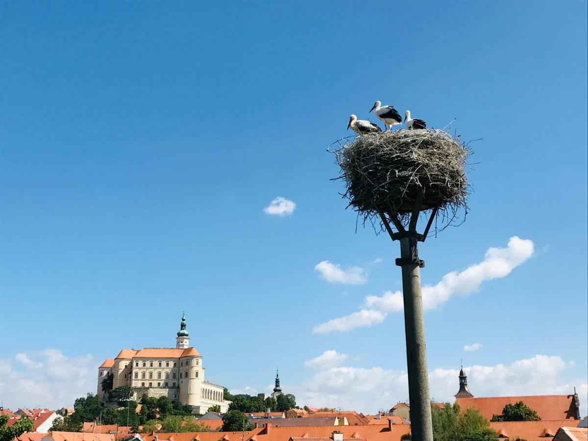 Penzion Cap Mikulov Dış mekan fotoğraf